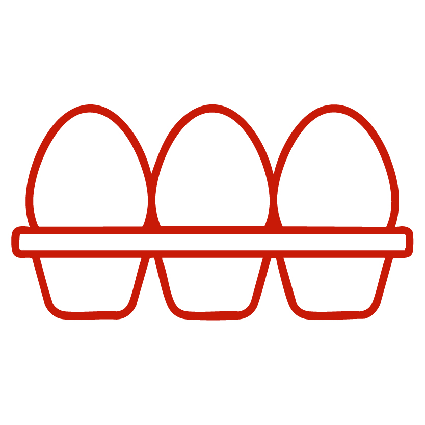 Hobi Ve Profesyonel Yumurta Kafesleri